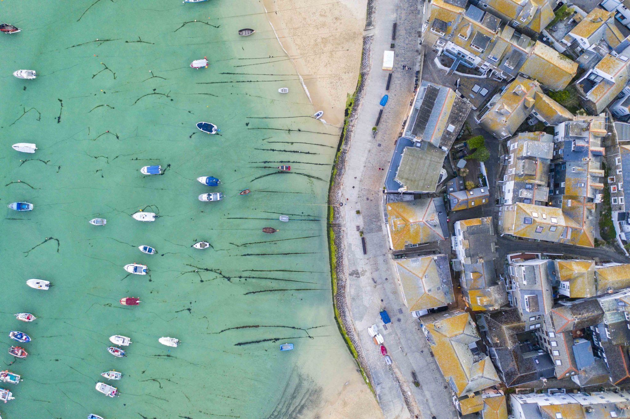 St Ives Harbour (7)